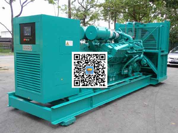 共和租赁发电机-康明斯发电机性价比还是比较高的