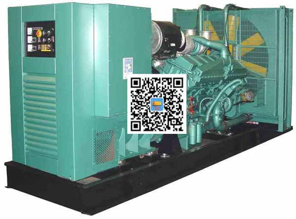 共和笼型异步发电机的电力电子控制技术